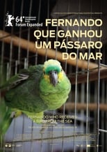 Poster de la película Fernando Who Received a Bird from the Sea