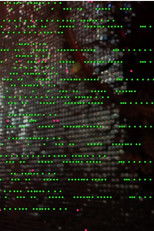 Poster de la película Sky Above the Port