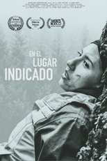 Poster de la película En el lugar indicado