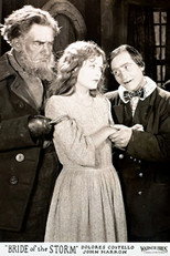 Poster de la película Bride of the Storm