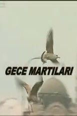 Poster de la película Gece Martıları