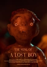 Poster de la película The Song of a Lost Boy