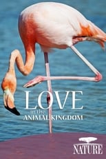 Poster de la película Nature: Love in the Animal Kingdom