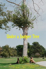 Poster de la película Under a Juniper Tree