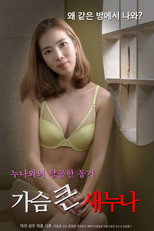 Poster de la película Big Breasts Sister