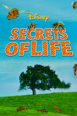 Poster de la película Secrets of Life