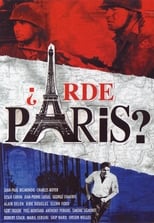 Poster de la película ¿Arde París?