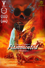Poster de la película Flammentod