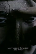 Poster de la película Labyrinth of Darkness: Jiri Barta