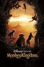 Poster de la película Monkey Kingdom