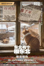 Poster de la serie 东北有个周东北