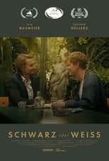 Poster de la película Schwarz oder Weiss