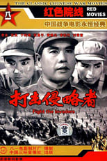 Poster de la película 打击侵略者