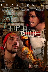 Poster de la película Las Ladrilleras