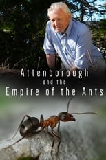 Poster de la película Attenborough and the Empire of the Ants