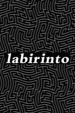 Poster de la película labirinto