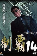 Poster de la película Conquest 14