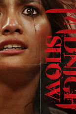 Poster de la película Midnight Show