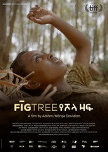 Poster de la película Fig Tree