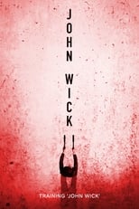 Poster de la película Training 'John Wick'