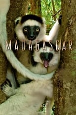 Poster de la serie Madagascar