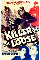 Poster de la película Killer at Large