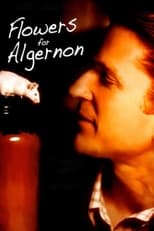 Poster de la película Flowers for Algernon