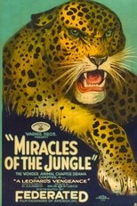 Poster de la película Miracles of the Jungle