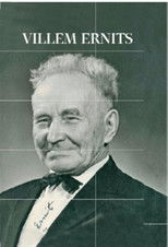 Poster de la película Villem Ernits