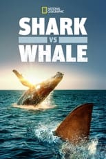 Poster de la película Shark Vs. Whale