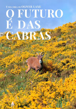 Poster de la película O futuro é das cabras