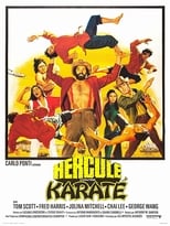 Poster de la película Mr. Hercules Against Karate