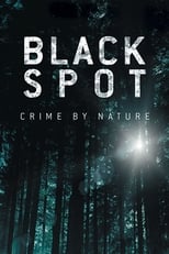 Poster de la serie Black Spot