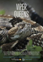 Poster de la película Viper Queens