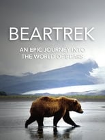 Poster de la película Beartrek