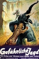 Poster de la película Gefährliche Jagd