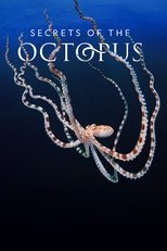 Poster de la serie Secrets of the Octopus