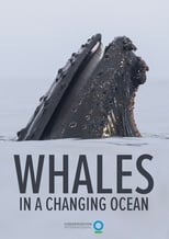 Poster de la película Whales in a Changing Ocean