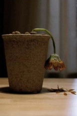 Poster de la película Flower Beloved