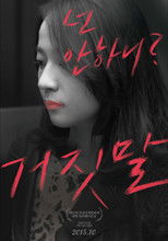 Poster de la película The Liar