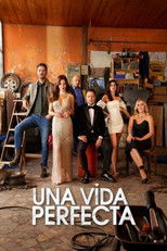 Poster de la serie Una vida perfecta