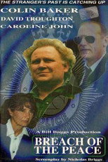 Poster de la película The Stranger: Breach of the Peace