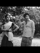 Poster de la película Krishnavataram