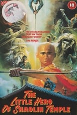 Poster de la película The Little Hero of Shaolin Temple