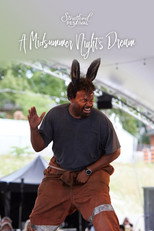Poster de la película A Midsummer Night's Dream