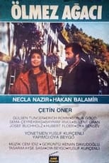 Poster de la película Ölmez Ağacı