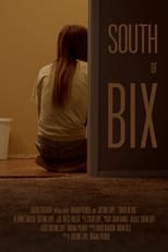 Poster de la película South of Bix