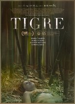 Poster de la película Tigre