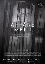 Poster de la película Die Affäre Meili