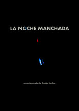 Poster de la película Stained Night